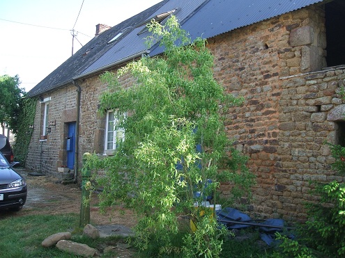 Three bedroom cottage in small edge of village hamlet for sale for 135,850€ in Orne, Normandy