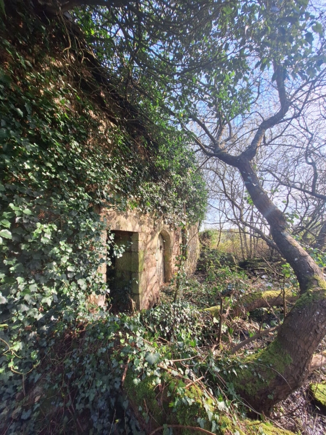 
Non-constructible plot with ruined stone building, for garden or leisure area
 for sale for 9,000&euro; in Côtes-d'Armor, Brittany