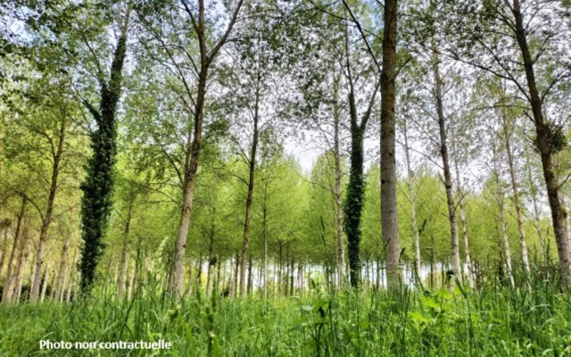 
wooded land Megrit 11740 m2
 for sale for 14,000&euro; in Côtes-d'Armor, Brittany