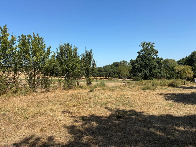 
Land in Jugon Les Lacs, 1595 m2
 for sale for 96,500&euro; in Côtes-d'Armor, Brittany