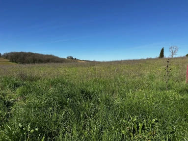 - Land - Aquitaine - For Sale - 11128-EY for sale for 44,890€ in Dordogne, Aquitaine