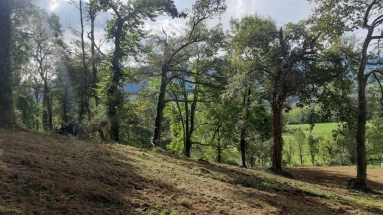 Constructible land in exceptional setting for sale for 108,000&euro; in Pyrénées-Atlantiques, Aquitaine