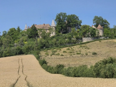6 Bedroom(s) - 2 Bathroom(s) - 0 m² land for sale in Allier, Auvergne, France - FrenchPropertyPortal.com Magnificent chateau with outbuildings on 2,5 ha with beautiful views for sale for 790,000€ in Allier, Auvergne