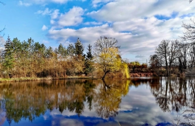 6 Bedroom(s) - 3 Bathroom(s) - 0 m² land for sale in Allier, Auvergne, France - FrenchPropertyPortal.com Exceptional Estate on 6.3 Hectares with Ponds and Unspoiled Nature for sale for 469,500€ in Allier, Auvergne