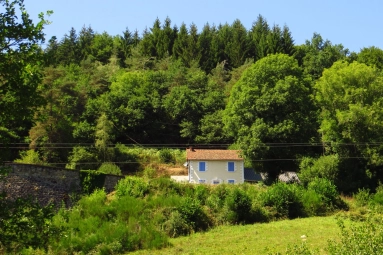 Pretty country cottage located on 4500 m2 du terrain for sale for 93,000€ in Puy-de-Dôme, Auvergne