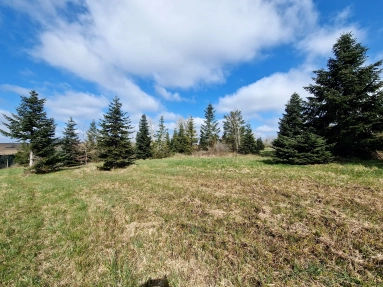 Spacious building plot with planning permission, close to Monségur for sale for 99,000&euro; in Gironde, Aquitaine