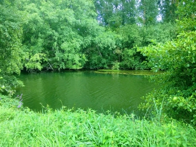 0 m² land for sale in Charente, Poitou-Charentes, France - FrenchPropertyPortal.com Leisure land of 2000m2 with river frontage for sale for 17,000€ in Charente, Poitou-Charentes