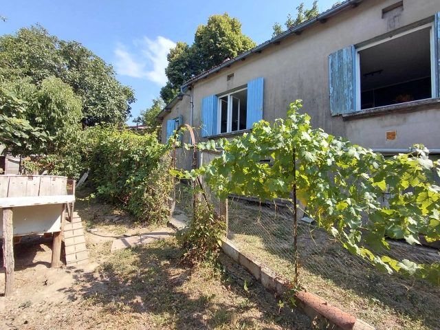 Stone Farmhouse for Sale in Saint-Christophe – No Neighbours, Barn, Outbuildings and Land for sale for 180,000&euro; in Tarn, Midi-Pyrénées