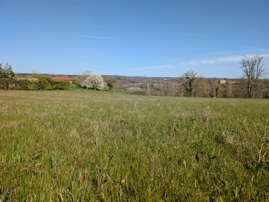 0 m² land for sale in Lot-et-Garonne, Aquitaine, France - FrenchPropertyPortal.com Lovely plot of land for up to 3 lots close to Monflanquin for sale for 66,000€ in Lot-et-Garonne, Aquitaine