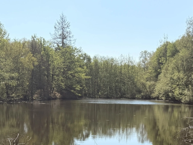 0 m² land for sale in Charente, Poitou-Charentes, France - FrenchPropertyPortal.com Private Leisure and Fishing Lake with Woodland near Montrollet for sale for 59,000€ in Charente, Poitou-Charentes