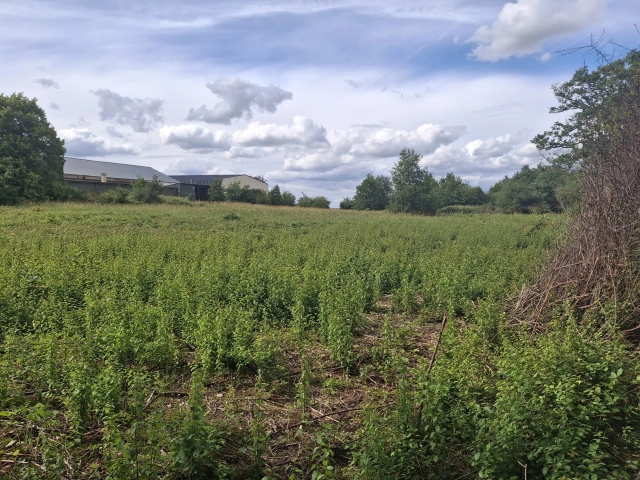 0 m² land for sale in Haute-Vienne, Limousin, France - FrenchPropertyPortal.com Commercial Plot with building to renovate – Outskirts of Bellac for sale for 99,000€ in Haute-Vienne, Limousin