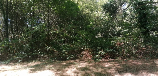 Fenced 1810 m² plot for sale in Piégut-Pluviers for sale for 15,500&euro; in Dordogne, Aquitaine