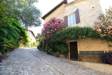 6 Bedroom(s) - 4 Bathroom(s) - 274m² land for sale in Lot-et-Garonne, Aquitaine, France - FrenchPropertyPortal.com Charming village house with swimming pool and parking for sale for 399,000€ in Lot-et-Garonne, Aquitaine