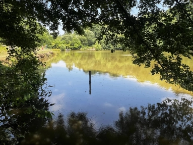 8,573m² land for sale in Haute-Vienne, Limousin, France - FrenchPropertyPortal.com Campsite with fishing lake in serene location for sale for 220,000€ in Haute-Vienne, Limousin