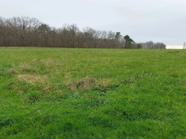 0 m² land for sale in Charente-Maritime, Poitou-Charentes, France - FrenchPropertyPortal.com Building plot for sale for 51,000€ in Charente-Maritime, Poitou-Charentes