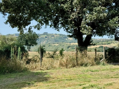 La Salvetat-Peyralès – Beautifully Renovated Stone House in Hamlet for sale for 115,000&euro; in Aveyron, Midi-Pyrénées