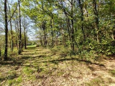 Building plot with woodland plot for sale for 44,000&euro; in Dordogne, Aquitaine
