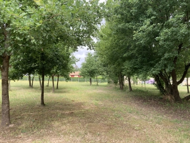 Building plot near Saint Aulaye for sale for 41,000&euro; in Dordogne, Aquitaine