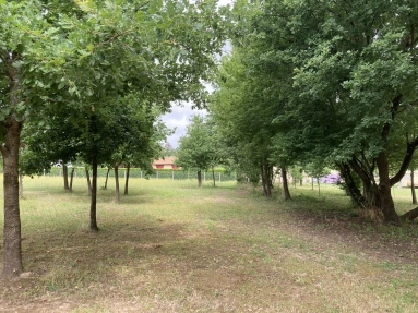 Building plot near Saint Aulaye for sale for 41,000€ in Dordogne, Aquitaine