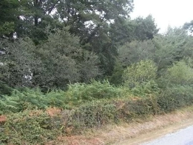 Land for sale for 19,000&euro; in Haute-Vienne, Limousin