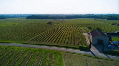 22-hectare organic AOC wine estate for sale for 690,000&euro; in Gironde, Aquitaine
