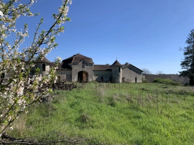 Chateau and outbuildings with central courtyard for sale for 638,300&euro; in Gironde, Aquitaine