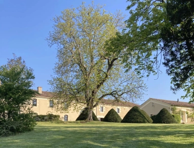 Charming Gascony Estate with Chambres d'Hôtes and Gîtes in the Heart of 14 Hectares of Preserved Nature for sale for 1,050,000&euro; in Gers, Midi-Pyrénées