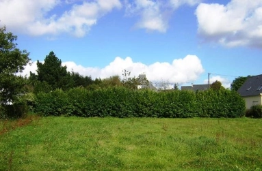 Terrain Constructible 56160 Langoëlan for sale for 15,450&euro; in Morbihan, Brittany