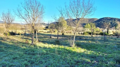 2048 M2 Building Plot On The Edge Of A Quiet Village At 5 Minutes From Saint Chinian. for sale for 243,960&euro; in Hérault, Languedoc-Roussillon