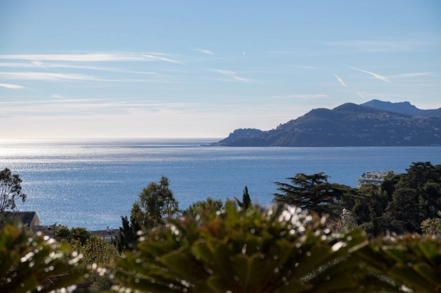 2 Bedroom(s) - 0 m² land for sale in Alpes-Maritimes, Provence-Alpes-Côte-d'Azur, France - FrenchPropertyPortal.com Cannes Area for sale for 2,990,000€ in Alpes-Maritimes, Provence-Alpes-Côte-d'Azur