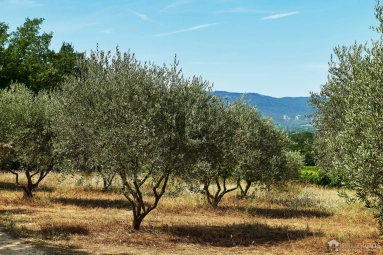 16 Bedroom(s) - 210,000m² land for sale in Vaucluse, Provence-Alpes-Côte-d\'Azur, France - FrenchPropertyPortal.com The Luberon / Vaucluse for sale for 9,575,000€ in Vaucluse, Provence-Alpes-Côte-d\'Azur
