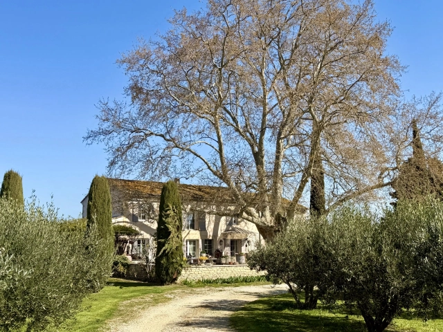 4 Bedroom(s) - 2 Bathroom(s) - 47,743m² land for sale in Vaucluse, Provence-Alpes-Côte-d\'Azur, France - FrenchPropertyPortal.com Avignon and North Provence for sale for 1,390,000€ in Vaucluse, Provence-Alpes-Côte-d\'Azur