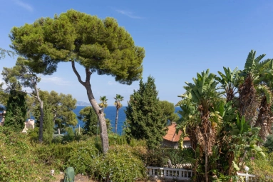 4 Bedroom(s) - 4 Bathroom(s) - 900m² land for sale in Alpes-Maritimes, Provence-Alpes-Côte-d'Azur, France - FrenchPropertyPortal.com Menton, Cap Martin Area for sale for 3,450,000€ in Alpes-Maritimes, Provence-Alpes-Côte-d'Azur