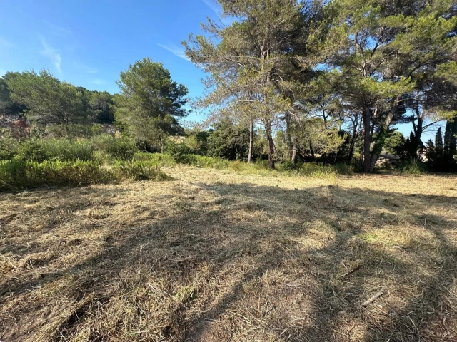 4,996m² land for sale in Alpes-Maritimes, Provence-Alpes-Côte-d'Azur, France - FrenchPropertyPortal.com Mougins, Valbonne, Grasse Area for sale for 1,290,000€ in Alpes-Maritimes, Provence-Alpes-Côte-d'Azur