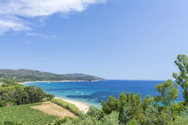 4 Bedroom(s) - 4 Bathroom(s) - 3,800m² land for sale in Var, Provence-Alpes-Côte-d\'Azur, France - FrenchPropertyPortal.com St. Tropez, Grimaud Area for sale for 9,500,000€ in Var, Provence-Alpes-Côte-d\'Azur