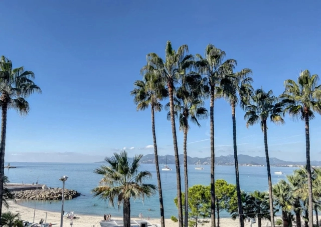 Cannes Area for sale for 1,260,000&euro; in Alpes-Maritimes, Provence-Alpes-Côte-d'Azur