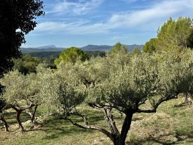 8 Bedroom(s) - 6 Bathroom(s) - 34,500m² land for sale in Var, Provence-Alpes-Côte-d\'Azur, France - FrenchPropertyPortal.com Var Countryside (Fayence, Lorgues, Cotignac) for sale for 1,290,000€ in Var, Provence-Alpes-Côte-d\'Azur