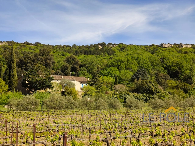 7 Bedroom(s) - 1 Bathroom(s) - 20,000m² land for sale in Drôme, Rhône-Alpes, France - FrenchPropertyPortal.com Avignon and North Provence for sale for 735,000€ in Drôme, Rhône-Alpes