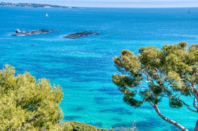 Cannes Area for sale for 1,490,000&euro; in Alpes-Maritimes, Provence-Alpes-Côte-d'Azur