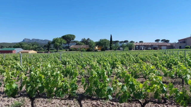 6 Bedroom(s) - 2 Bathroom(s) - 195,700m² land for sale in Var, Provence-Alpes-Côte-d\'Azur, France - FrenchPropertyPortal.com Var Countryside (Fayence, Lorgues, Cotignac) for sale for 6,000,000€ in Var, Provence-Alpes-Côte-d\'Azur