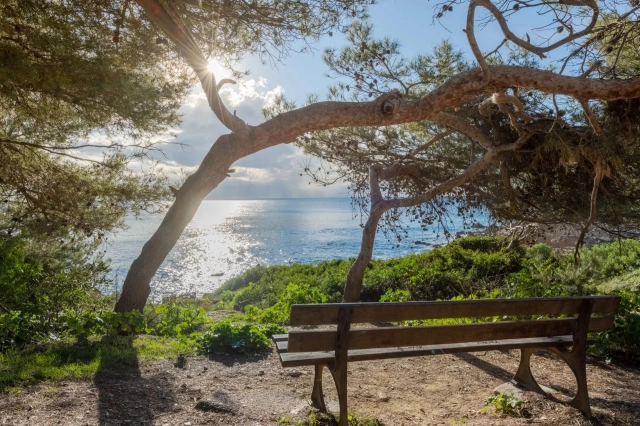 Provence Coast (Cassis to Cavalaire) for sale for 1,950,000&euro; in Var, Provence-Alpes-Côte-d\'Azur