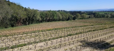 Avignon and North Provence for sale for 2,438,000&euro; in Gard, Languedoc-Roussillon