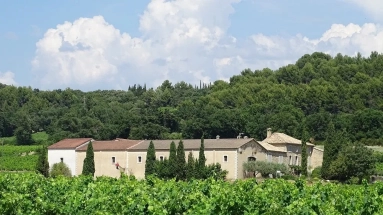 370,000m² land for sale in Vaucluse, Provence-Alpes-Côte-d\'Azur, France - FrenchPropertyPortal.com Avignon and North Provence for sale for 3,000,000€ in Vaucluse, Provence-Alpes-Côte-d\'Azur