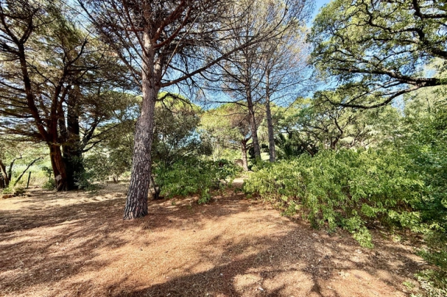St Raphaël, Ste Maxime Area for sale for 1,050,000&euro; in Var, Provence-Alpes-Côte-d\'Azur