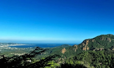 4 Bedroom(s) - 4 Bathroom(s) - 1,347m² land for sale in Alpes-Maritimes, Provence-Alpes-Côte-d'Azur, France - FrenchPropertyPortal.com Cannes Area for sale for 1,500,000€ in Alpes-Maritimes, Provence-Alpes-Côte-d'Azur