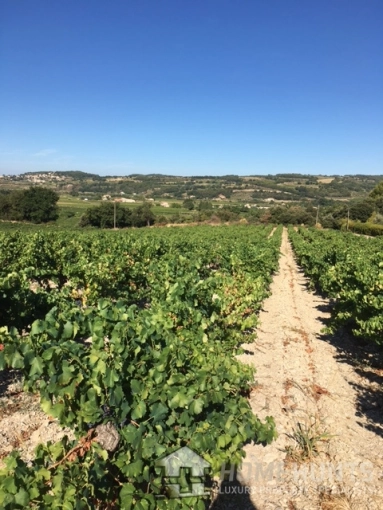 1 Bedroom(s) - 1 Bathroom(s) - 400,000m² land for sale in Vaucluse, Provence-Alpes-Côte-d\'Azur, France - FrenchPropertyPortal.com Avignon and North Provence for sale for 1,910,000€ in Vaucluse, Provence-Alpes-Côte-d\'Azur