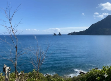 Provence Coast (Cassis to Cavalaire) for sale for 1,800,000&euro; in Var, Provence-Alpes-Côte-d\'Azur