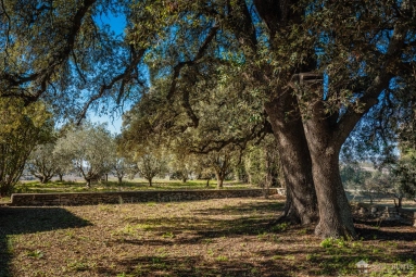 The Luberon / Vaucluse for sale for 997,500&euro; in Vaucluse, Provence-Alpes-Côte-d\'Azur