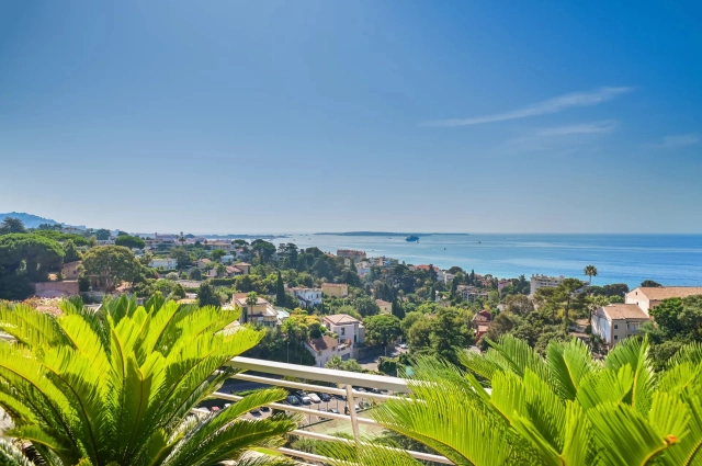 2 Bedroom(s) - 1 Bathroom(s) - 0 m² land for sale in Alpes-Maritimes, Provence-Alpes-Côte-d'Azur, France - FrenchPropertyPortal.com Cannes Area for sale for 1,650,000€ in Alpes-Maritimes, Provence-Alpes-Côte-d'Azur