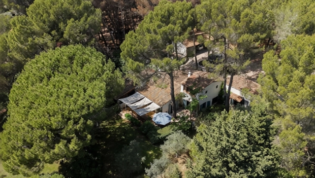 5 Bedroom(s) - 2 Bathroom(s) - 6,800m² land for sale in Bouches-du-Rhône, Provence-Alpes-Côte-d'Azur, France - FrenchPropertyPortal.com Aix en Provence Area for sale for 1,360,000€ in Bouches-du-Rhône, Provence-Alpes-Côte-d'Azur